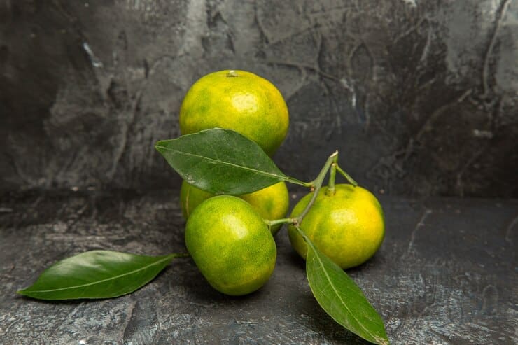 تصویر 3 از قیمت خرید نارنگی ژاپنی + فروش ویژه